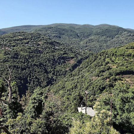Theta Hotel Pelion Agios Dimitrios  Luaran gambar